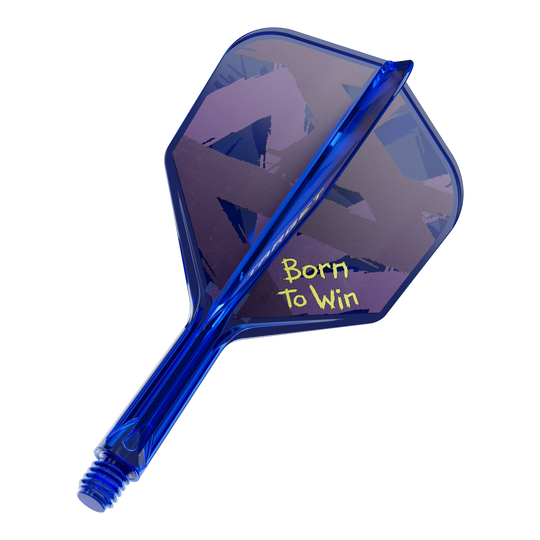 Target K-Flex Luke Littler Nato per vincere Campione del mondo n. 6 Voli