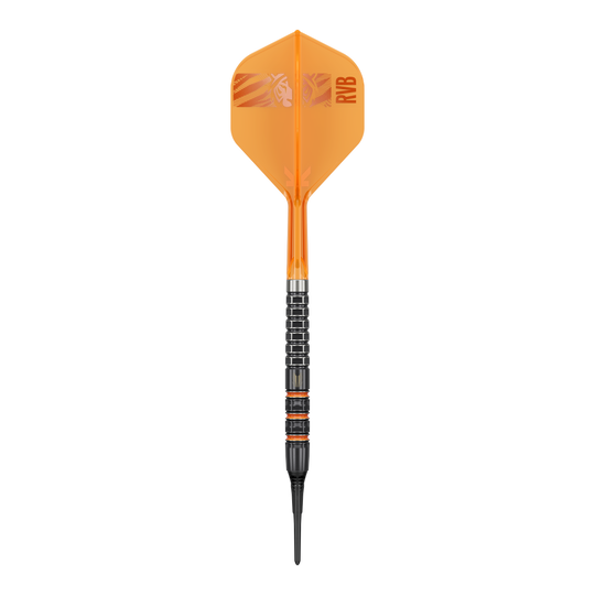 Target freccette morbide Raymond Van Barneveld 95K - 20 g