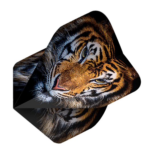 Voli Pentathlon Tiger Das Bild zeigt das Produkt "Pentathlon Tiger No2 Standard Flights". Auf den Flights ist ein realistisches Tigerkopf-Motiv abgebildet.