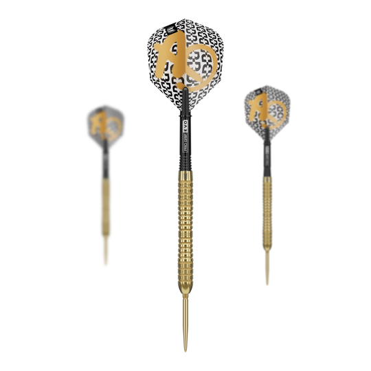 Freccette in acciaio Target Bolide Envy 04 Swiss Point Target Bolide Envy 04 Swiss Point Steeldarts sind im Bild zu erkennen. Das Set eignet sich ideal für Wettkämpfe und Freizeitspiele.