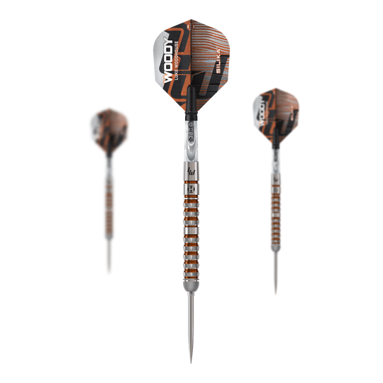 Freccette in acciaio Quick Point Luke Woodhouse Series 3 di Harrow Das Bild zeigt Harrows Luke Woodhouse Series 3 Quick Point Steeldarts. Der Artikel ist ein Satz hochwertiger Steeldarts.