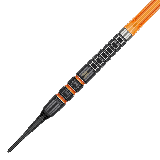 Target freccette morbide Raymond Van Barneveld 95K - 20 g
