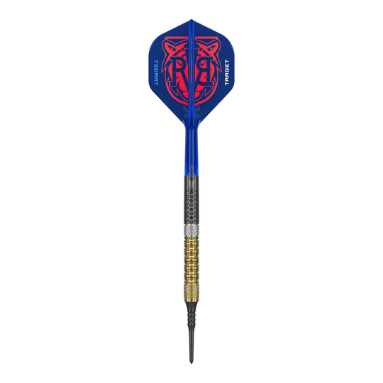 Target freccette morbide Raymond Van Barneveld GEN6 Das Bild zeigt die Target Raymond Van Barneveld GEN6 Softdarts. Die Darts sind deutlich sichtbar dargestellt.